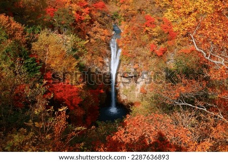 Aerial view of Komadome Waterfall flowing thru a colorful autumn forest and tumbling down the rocky cliff into a gorge in Yumoto, Nasu-Machi, Tochigi, Japan. Japanese countryside in the fall season