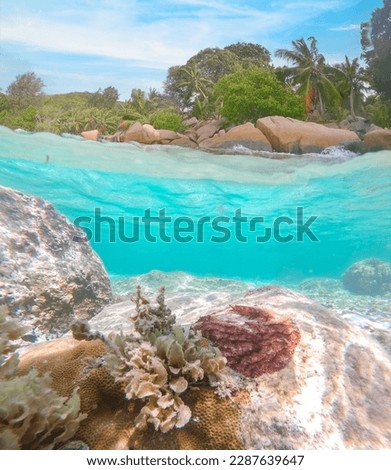 Split underwater view of a tropical beach with coral reef