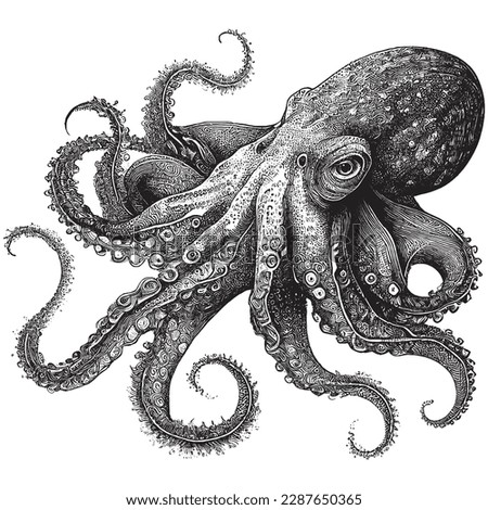 Hand Drawn Engraving Pen and Ink Octopus Vintage Vector Illustration