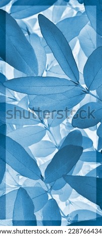 Vegetable vertical background from honeysuckle leaves. Abstract natural phone wallpaper from the foliage of a fruit bush. Blue tinted plant backdrop with dark vignetting. Beautiful plants pattern