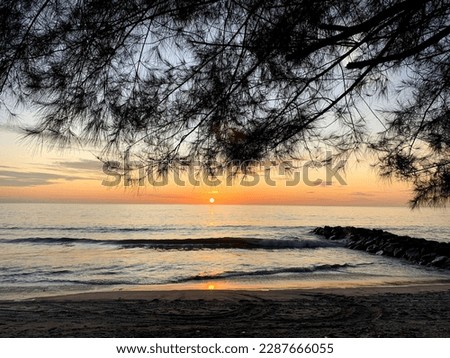 The sunset photo is seen from the beach under a shady tree
