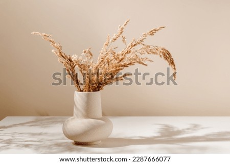 Stylish ceramic vase on the table with pampas or reed dry grass bouquet with warm shadows, light brown wall background. Scandinavian vase on the table with copy space, minimal aesthetic style Royalty-Free Stock Photo #2287666077