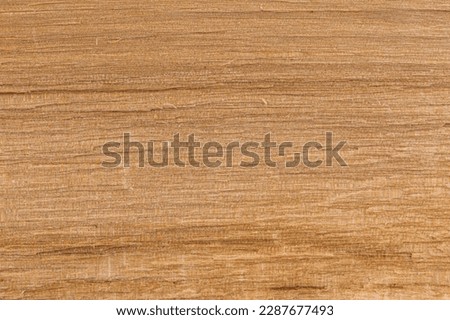 Fragment background of wooden texture for designers