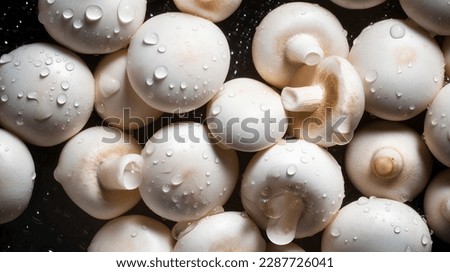 Mushroom with drops on black background. Full depth of field