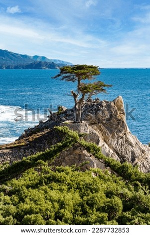 Lone Cypress Tree on 7 Mile Drive. 17 Mile Drive is a scenic road through Pebble Beach and Pacific Grove on the Monterey Peninsula in Northern California. Royalty-Free Stock Photo #2287732853