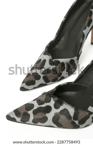 Leopard print calf hair pumps isolated on white. Classic animal print heels with sharply pointed toes.