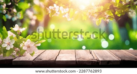 Spring background with empty wooden table. Empty wooden table in spring blooming cherry orchard during sunny day. Natural template for product display with cherry blossoms bokeh and sunlight
