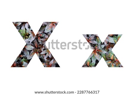 Font Alphabet X isolated on white background made of Real alive leaves and flowers 