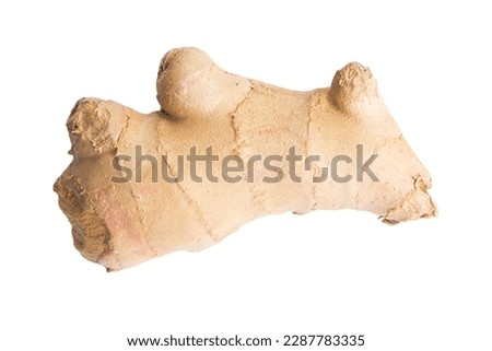 ginger isolated on white or transparent background, cut out
