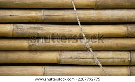Close up photo of bamboo textured with noise effect for background and material in presentation and building rendering