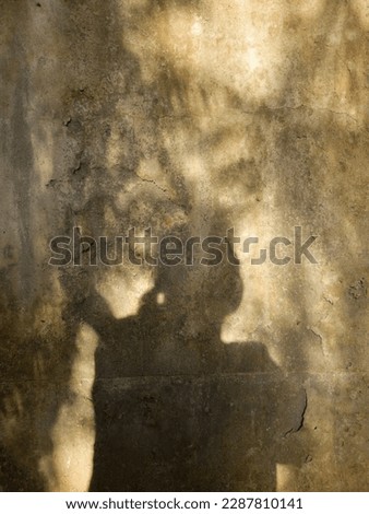 Beautiful tree leaf and girls shadow on the wall