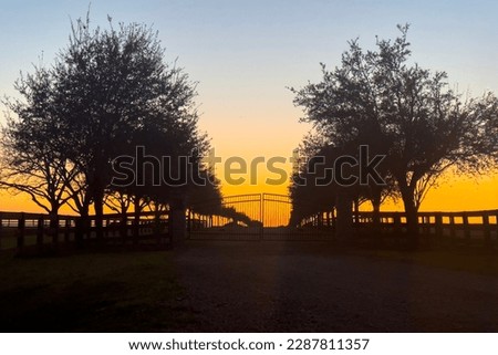 Golden evening sunlight, entrance to park, silhouette gate and trees in darkness and sunset, beautiful nature.