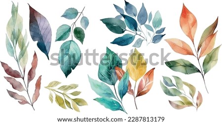Vector Watercolor set of branches with colorful leaves, for wedding invitations, greetings, wallpapers, fashion, prints. Eucalyptus, olive green leaves.