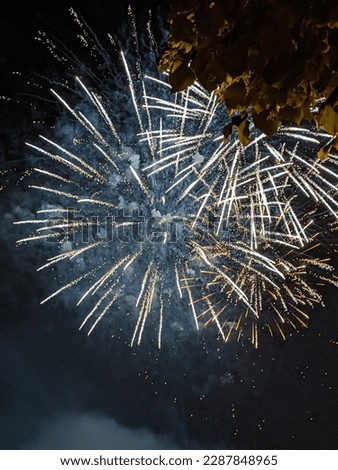 beautiful picture of fireworks firecrackers at night