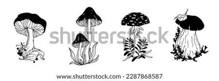 A set of sketches, doodles of forest mushrooms toadstools with leaves and grass.Vector graphics. Royalty-Free Stock Photo #2287868587