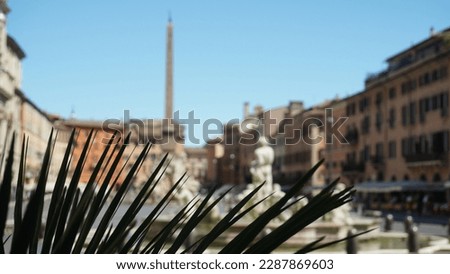 Blurred view of famous Piazza Navona with plant in focus in foreground. image for print, background, flyer
