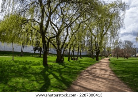 Public park in early spring, nature beginning turn to green in bright sunlight, willow trees and dirty path scenery