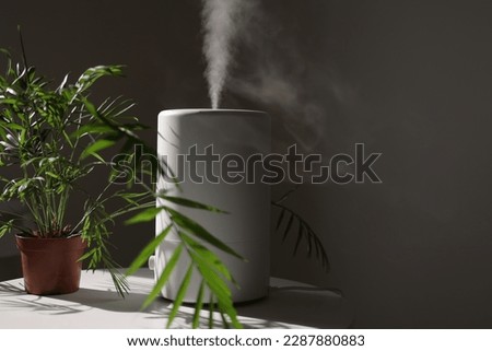 Air purifier and humidifier releases strong stream of cold steam close green houseplant. Care and hydration of houseplants in dry air. Healthy lifestyle concept. Fresh air, cleaning and removing dust. Royalty-Free Stock Photo #2287880883