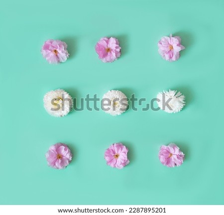 A spring summer wallpaper made of pink and  white flowers aligned on pastel green background. Background for celebration card or banner. Flat lay