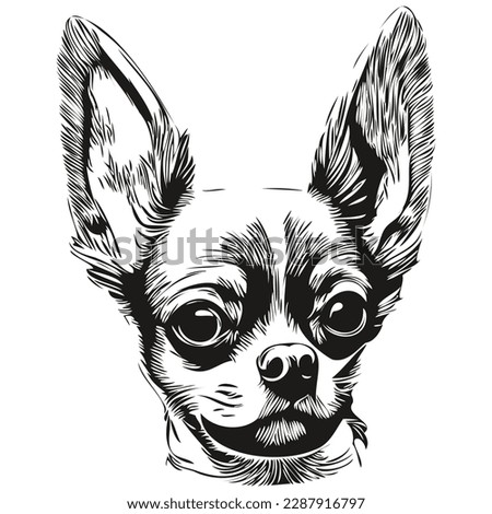 Chihuahua dog black and white vector logo, line art hand drawn vector pets illustration
