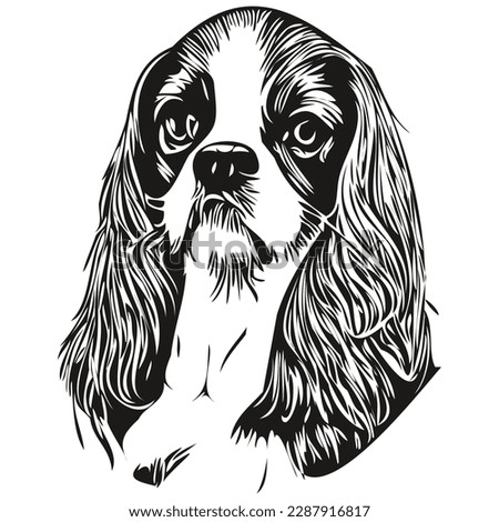 Cavalier King Charles Spaniels dog line art hand drawing vector logo black and white pets illustration
