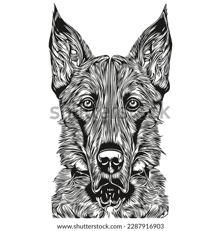 Belgian Malinois dog logo hand drawn line art vector drawing black and white pets illustration

