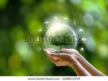 Energy of a sustainable natural gas business Earth protection green tree on hand with icon summer background tropical nature ecology and environment Royalty-Free Stock Photo #2288012539