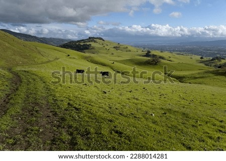 Green rolling hills under cloudy sky.