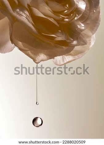 Flower Flower Rose Essence Liquid down Skin care plant Royalty-Free Stock Photo #2288020509