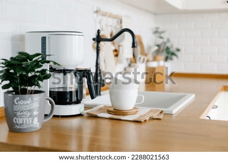Coffee tree plant on wooden table, view on white kitchen in scandinavian style, drip coffee maker, cup of coffee on background