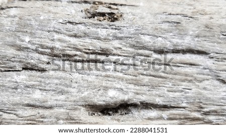 Pattern of thick veneer, white powder mixed with wood pattern, obscured wood grain pattern