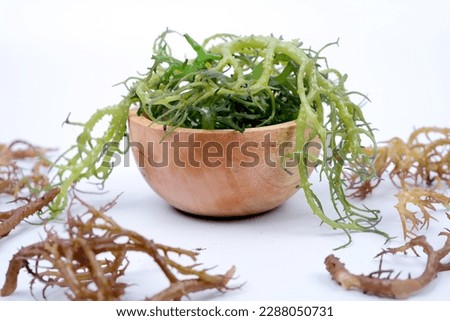 Fresh Graciillaria Spp seaweed in wooden bowl isolated on white background