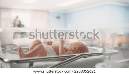 Portrait of a Young Newborn Baby Lying in a Bassinet in a Maternity Ward After Birth. Cute Neonate Child Calling for Mother, Feeling Energetic and Sleepless. Childbirth and Medical Clinic Concept Royalty-Free Stock Photo #2288052621