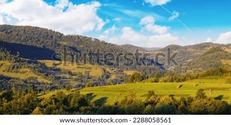 rural sunrise over valley and hills. carpathian landscape in summer