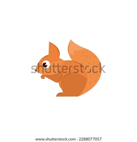Cute squirrel cartoon vector, icon on a white background