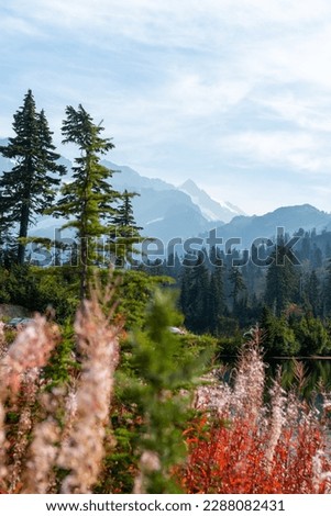 Artist point ,Picture Lake Mount Baker hiking trail in Autumn with beautiful blue sky, Washington, United State 