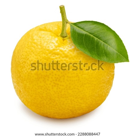 Yellow Yuzu Orange fruit isolated on white background, Kochi Yuzu orange isolated on white background With work path. Royalty-Free Stock Photo #2288088447