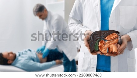 Human liver disease, diagnosis and treatment. Doctor gastroenterologist showing liver anatomical model for treatment hepatitis, cirrhosis and cancer while examining patient Royalty-Free Stock Photo #2288089463