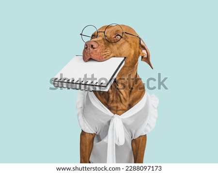 Cute puppy, glasses and a notepad with a blank page. Business style. Closeup, indoors. Day light, studio photo. Isolated background. Concept of care, education, training and raising pet