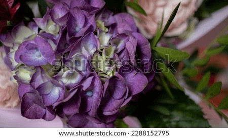 Purple hydrangea in a bouquet