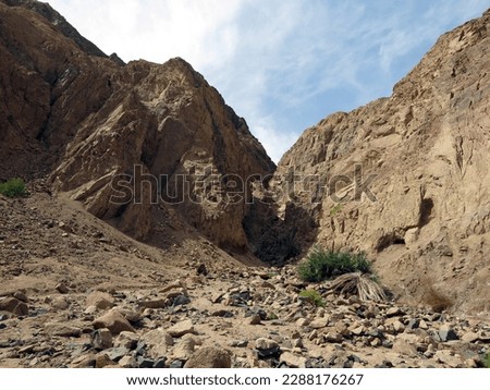 Dahab valley oasis surrounded with mountains