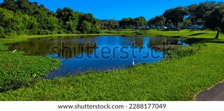 tropical natural lake with vegetation and white egret,lake in south brazil
