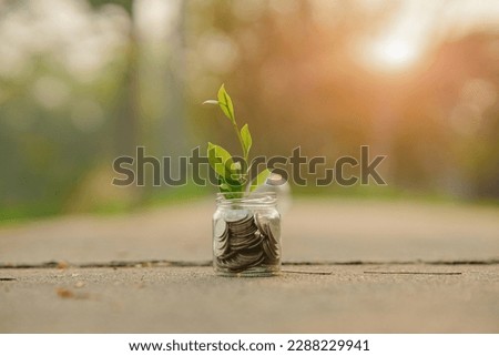 Saving money  puting coins in jug glass on nature background