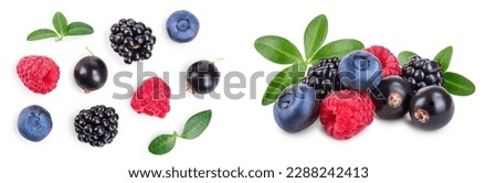 mix of blackberry blueberry raspberry isolated on white background. Top view. Flat lay pattern Royalty-Free Stock Photo #2288242413
