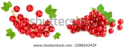 Red currant berry isolated on white background. Top view. Flat lay pattern Royalty-Free Stock Photo #2288242429