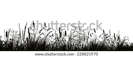 Pattern strip of grass. Vector 