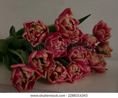 Flower. Tulips. Love store. Romantic.