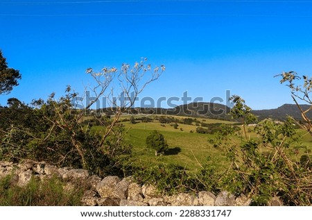 horizontal view on a stone fence in country area, landscape photography
