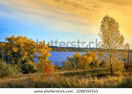 Autumn landscape, blue river and golden tree leaves.