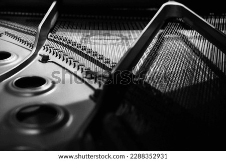 Grand Piano Sound board white and black